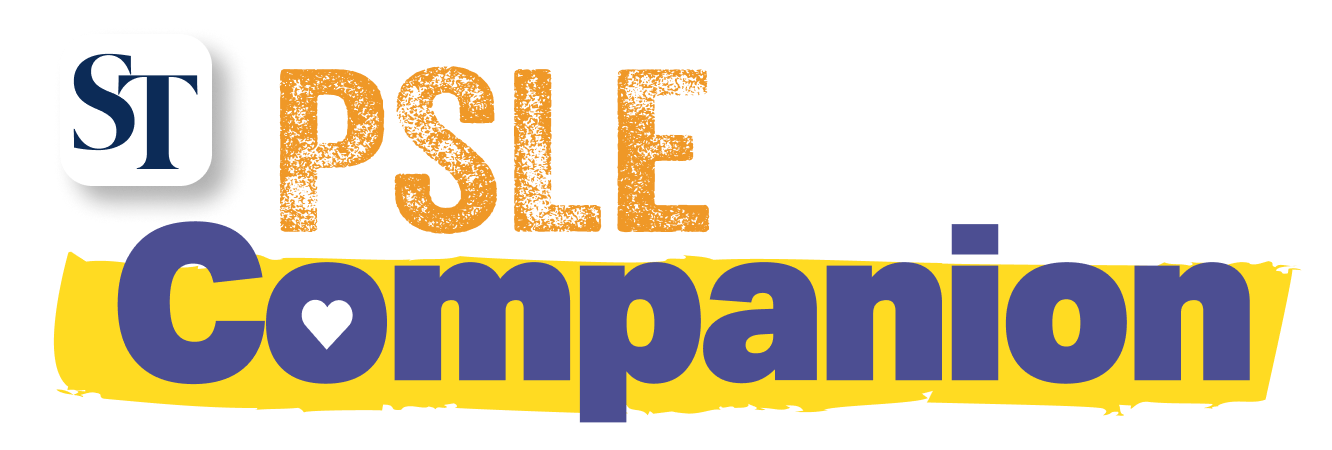 PSLE Companion