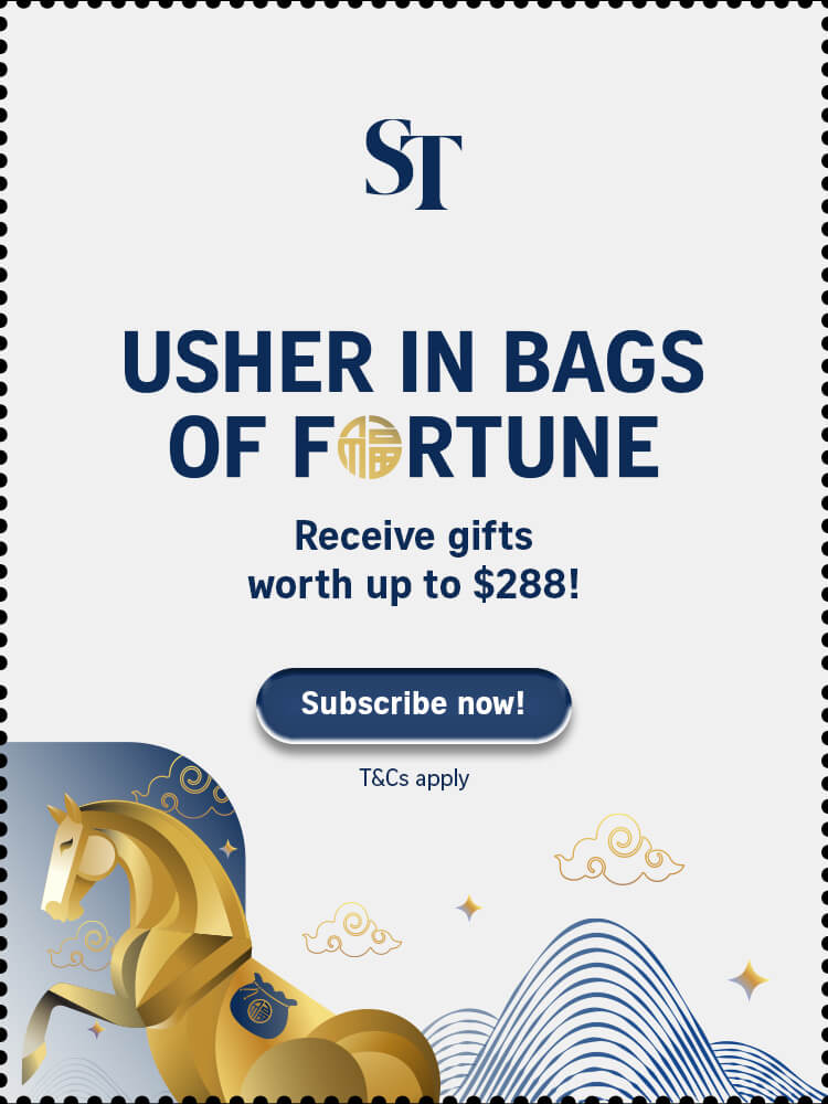 SPH Newspapers - Straits Times, Business Times, ZaoBao, Magazines - Print & Digital Subscription Plans