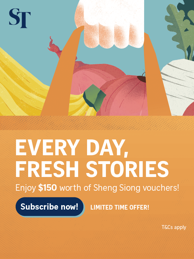 SPH Newspapers - Straits Times, Business Times, ZaoBao, Magazines - Print & Digital Subscription Plans