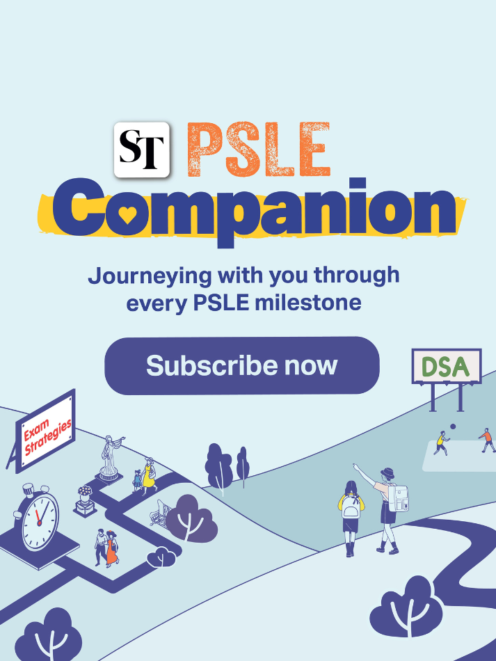 SPH Newspapers - Straits Times, Business Times, ZaoBao, Magazines - Print & Digital Subscription Plans