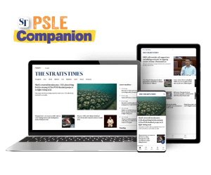 SPH Newspapers - Straits Times, Business Times, ZaoBao, Magazines - Print & Digital Subscription Plans