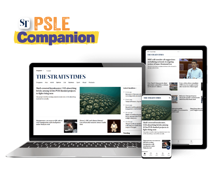 SPH Newspapers - Straits Times, Business Times, ZaoBao, Magazines - Print & Digital Subscription Plans