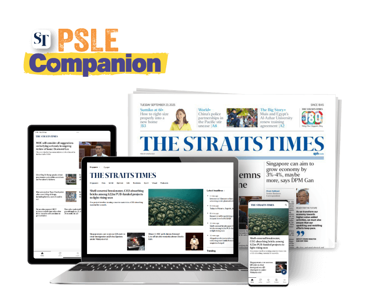 SPH Newspapers - Straits Times, Business Times, ZaoBao, Magazines - Print & Digital Subscription Plans