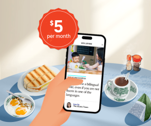 SPH Newspapers - Straits Times, Business Times, ZaoBao, Magazines - Print & Digital Subscription Plans