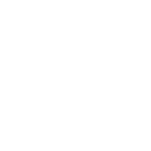 E-paper Archive