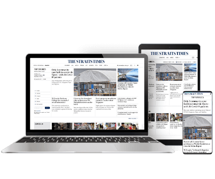 SPH Newspapers - Straits Times, Business Times, ZaoBao, Magazines - Print & Digital Subscription Plans