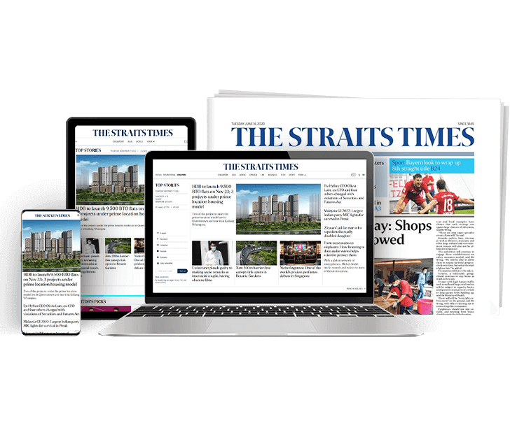 SPH Newspapers - Straits Times, Business Times, ZaoBao, Magazines - Print & Digital Subscription Plans