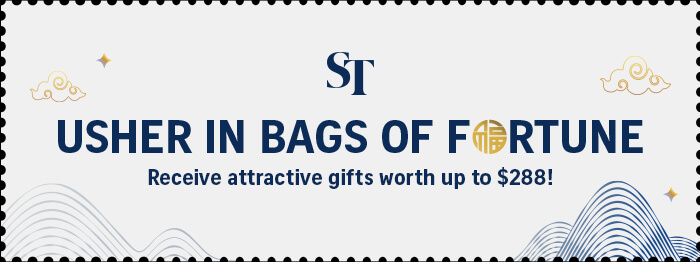 SPH Newspapers - Straits Times, Business Times, ZaoBao, Magazines - Print & Digital Subscription Plans