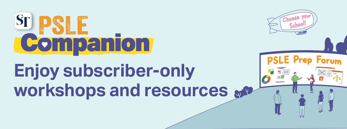 SPH Newspapers - Straits Times, Business Times, ZaoBao, Magazines - Print & Digital Subscription Plans