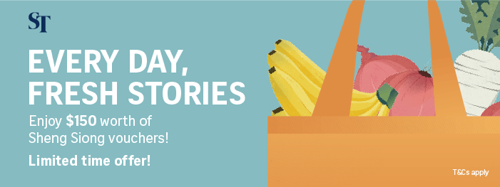 SPH Newspapers - Straits Times, Business Times, ZaoBao, Magazines - Print & Digital Subscription Plans