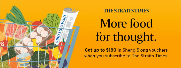 SPH Newspapers - Straits Times, Business Times, ZaoBao, Magazines - Print & Digital Subscription Plans