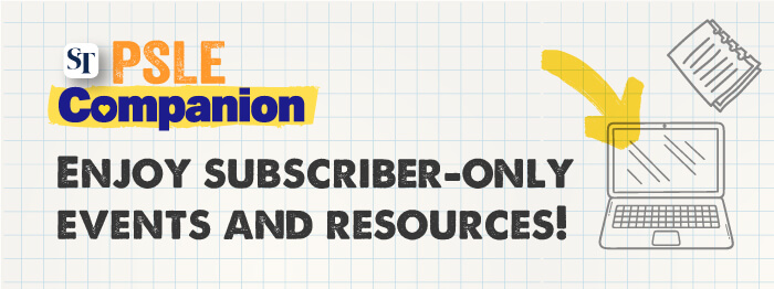 SPH Newspapers - Straits Times, Business Times, ZaoBao, Magazines - Print & Digital Subscription Plans