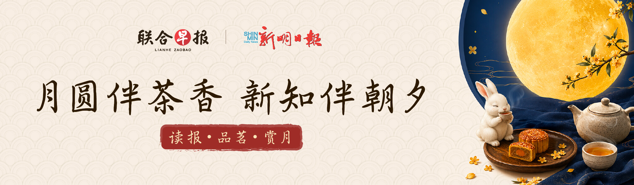 Promotional Hero Banner
